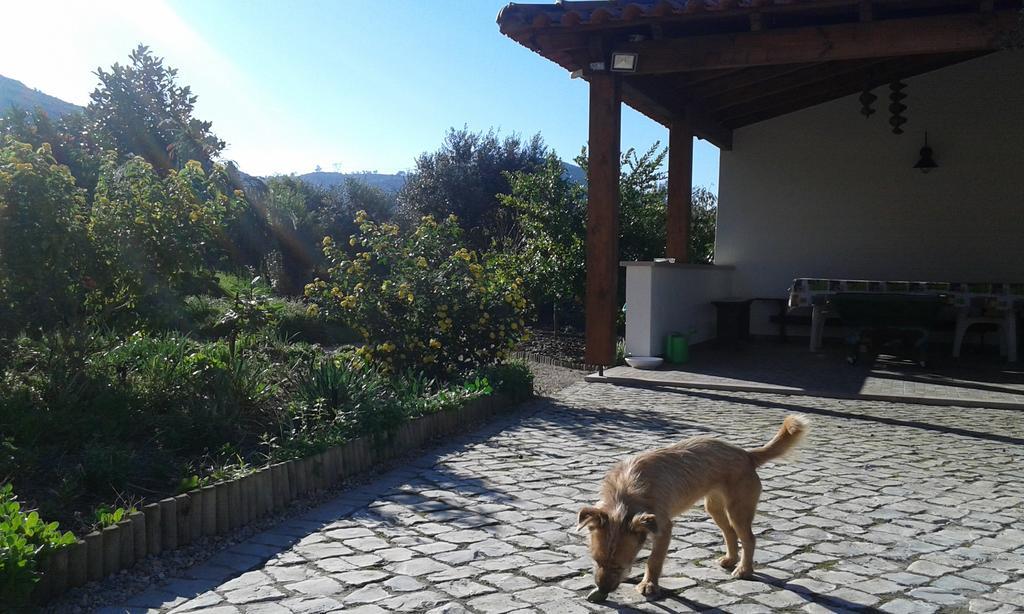 Vila Quinta De Sao Joao Poios Exteriér fotografie