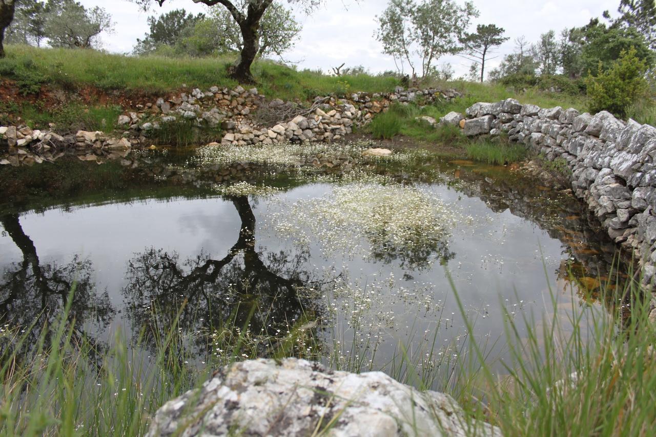 Vila Quinta De Sao Joao Poios Exteriér fotografie